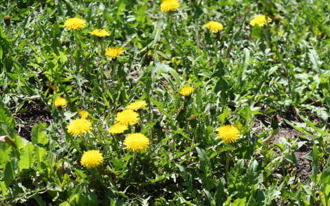 Погода на 2 мая: в город пришла весна