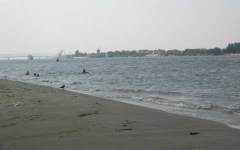 На подготовку сыктывкарского пляжа потратят почти два миллиона рублей