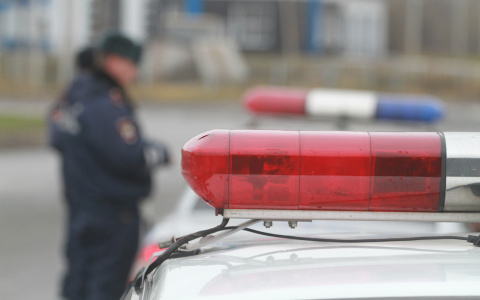 В Коми мужчина с ножом пытался похитить водку из сельского магазина