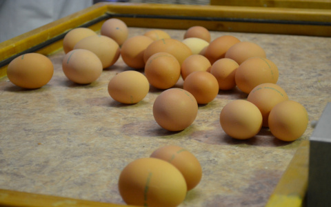 В Коми два подростка от безделья закидали храм яйцами