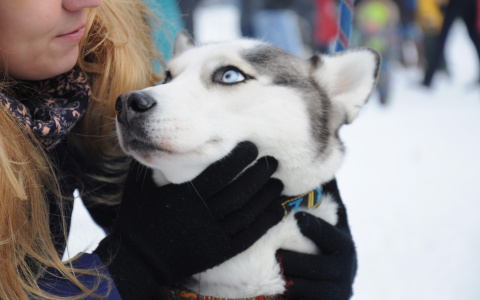 Погода в Сыктывкаре на 9 мая: ожидается снег с дождем