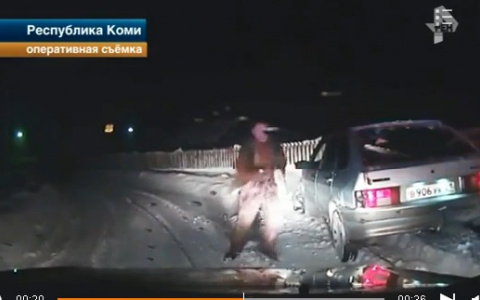 В Коми пьяный водитель протащил инспектора на капоте авто, а затем сбежал через окно (видео)