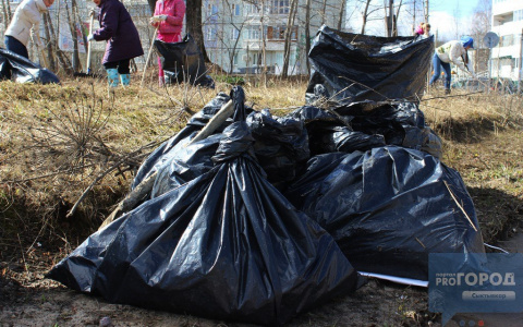 Сыктывкарка обнаружила во дворе дома бесхозный пакет с внутренними органами