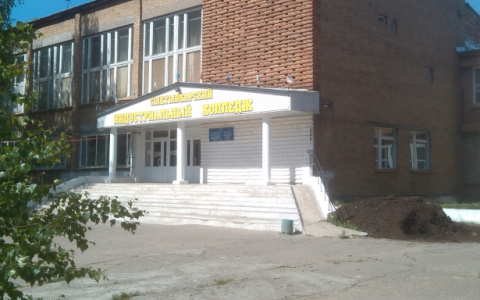 Работники Сыктывкарского индустриального колледжа выступили против сокращений