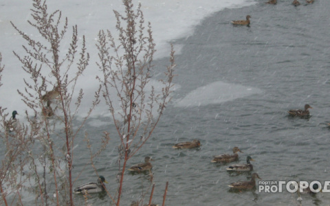 В Коми мужчина утонул во время рыбалки