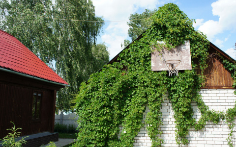 На портале PG11.ru стартует новый конкурс «Моя дача»