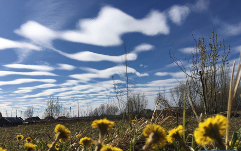 Сыктывкарцы увидели в небе странные облака (фото)