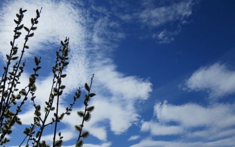 Стало известно, вернется ли в Сыктывкар холодная погода