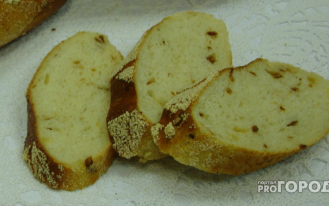 В Коми школьнику написали замечание в дневник "Съел два куска хлеба"