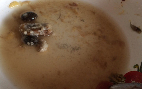 Сыктывкарка купила рыбу, в которой обнаружила огромные камни (фото)