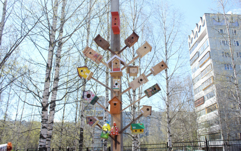 В Сыктывкаре установили «скворечниковое» дерево (фото)