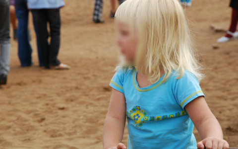 В Коми из-за невменяемой матери погибла 3-летняя девочка