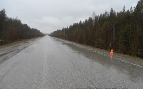 В Коми автоледи вылетела со скользкой дороги в кювет (фото)