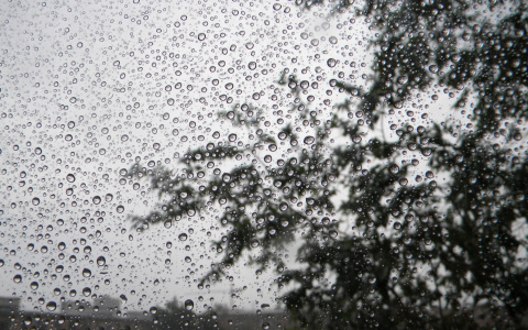 Синоптики рассказали, пойдёт ли дождь на выходных в Сыктывкаре