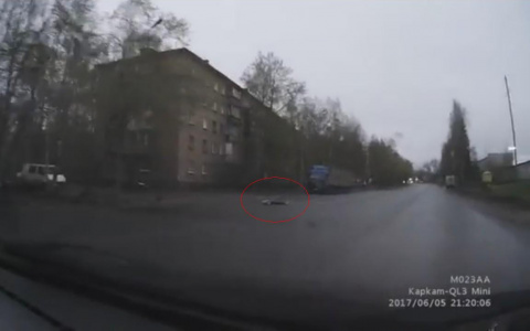 В Сыктывкаре неадекватная девушка легла посреди дороги (видео)