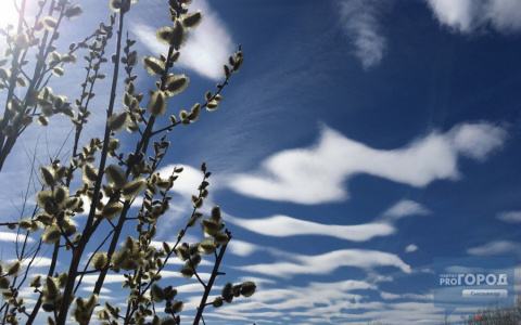 Прошла ровно неделя лета: какая погода будет в Сыктывкаре 7 июня?