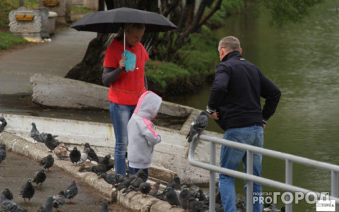 Погода на 8 июня: в Сыктывкаре почти лето, но это не точно