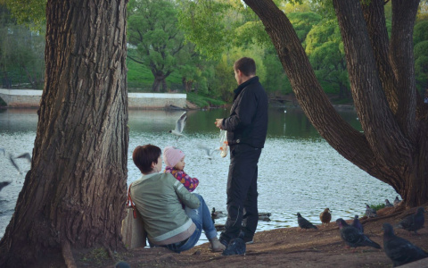 Погода на 11 июня: будет немного облачно