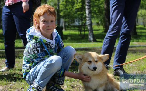 В День города Кировский парк Сыктывкара превратился в экоплощадку