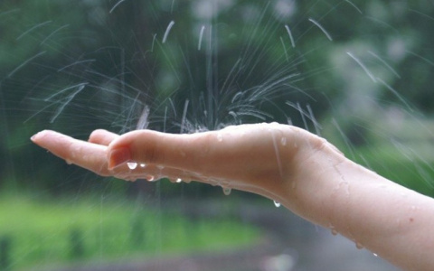 Погода на 13 июня: в Сыктывкаре пройдет теплый летний дождь