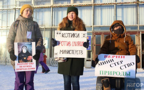 В Коми вновь появится министерство природных ресурсов и охраны окружающей среды