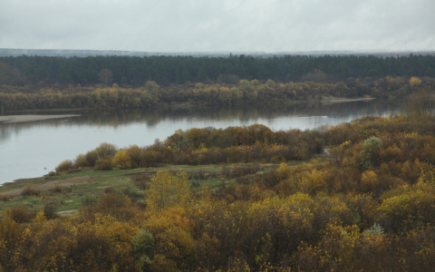 Жителям двух районов Коми угрожает опасность
