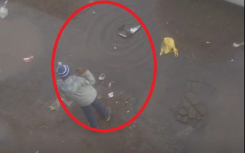 В Коми дети-живодёры жестоко убили голубя (видео)