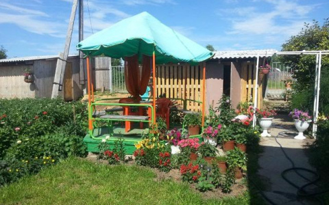 В фотоконкурсе «Моя дача» на портале PG11.ru появилась новая участница