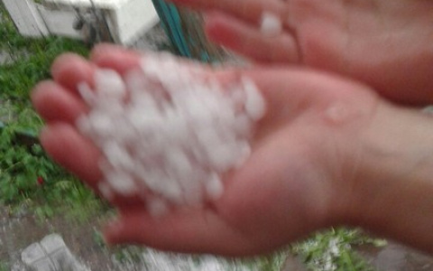 В Коми выпал град размером с фасоль (фото)