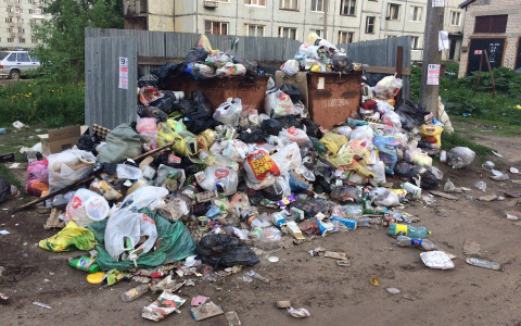 Забастовка мусорщиков? Сыктывкар за неделю погряз в нечистотах