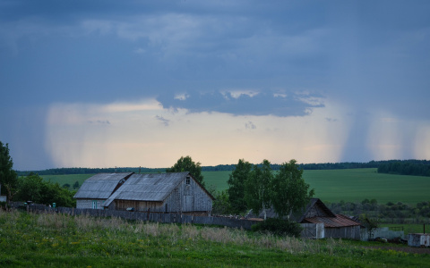 Погода в Сыктывкаре на 22 июня: горожан ждет гроза
