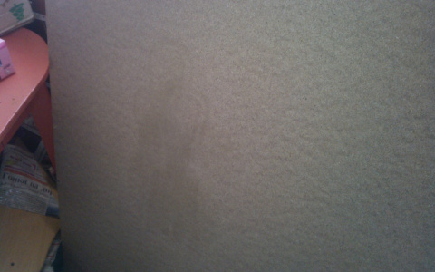 У жителя Коми на фанере проявилась икона