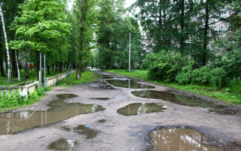 Погода на 25 июня в Сыктывкаре: холодно, ветрено и сыро