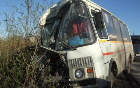 В Коми из-за невнимательности водителя автобуса пострадали пять пассажиров (фото)