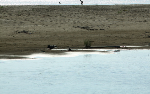 В Коми на берегу реки найдено тело мужчины