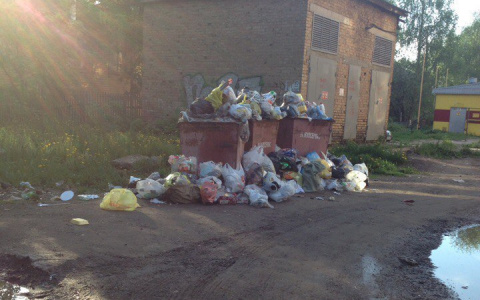 Как PG11.ru помог жителям Коми на прошлой неделе