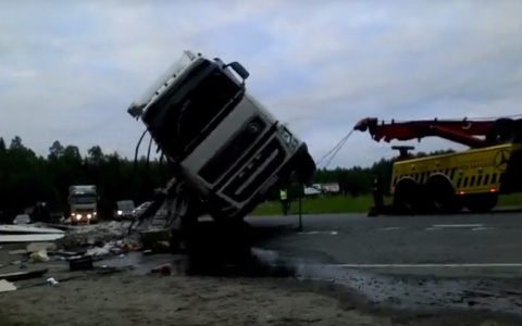 В Сыктывкаре ищут кошку, которая была в фуре, перевернувшейся на трассе в Коми (фото)