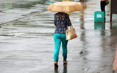 Погода в Сыктывкаре на 2 июля: пройдет небольшой дождь