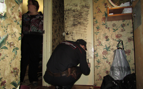 В Коми нетрезвые мужчины пытали пенсионеров огнем и битой