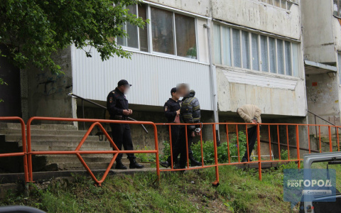 В Сыктывкаре наркоманы кривлялись на камеру, когда их задержала полиция (фото)