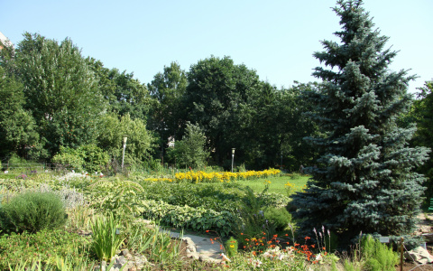 Погода в Сыктывкаре на 4 июля: неужели потеплеет?