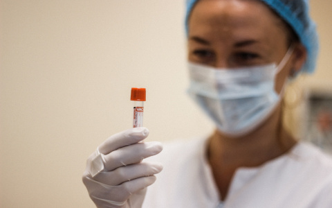 Сыктывкарцы не могут получить результаты анализов из-за атаки хакеров