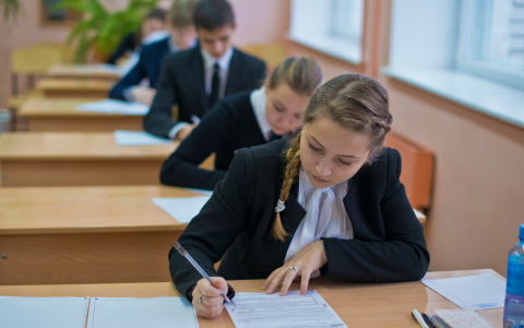 Желающих отменить изучение коми языка в школе обвинили в неуважении