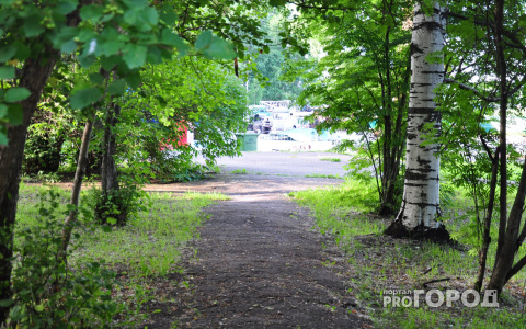 Погода в Сыктывкаре на 5 июля: кажется, к нам пришло лето