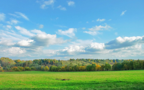 Стало известно, какой будет погода в июле в Коми