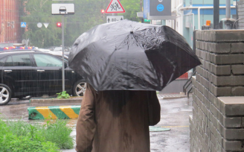 Погода в Сыктывкаре на 6 июля: неужели опять дождь?