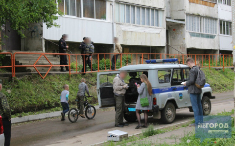 Появились подробности задержания наркоманов в Сыктывкаре, где они кривлялись на камеру