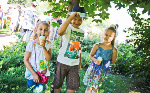 На портале PG11.ru стартует фотоконкурс «Ох уж эти детки!»