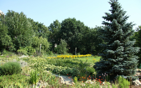 Погода в Сыктывкаре на 12 июля: слабый ветер