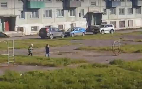 Жители Коми сняли на видео, как двое малышей сбежали из детсада
